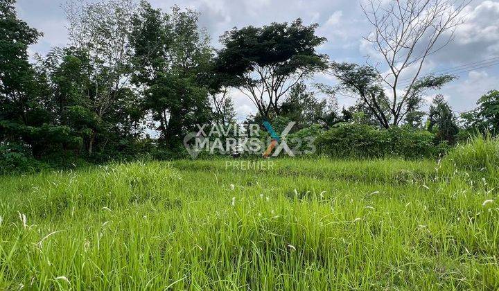 Murah, Tanah Lokasi di Jedong, Wagir Kabupaten Malang 1