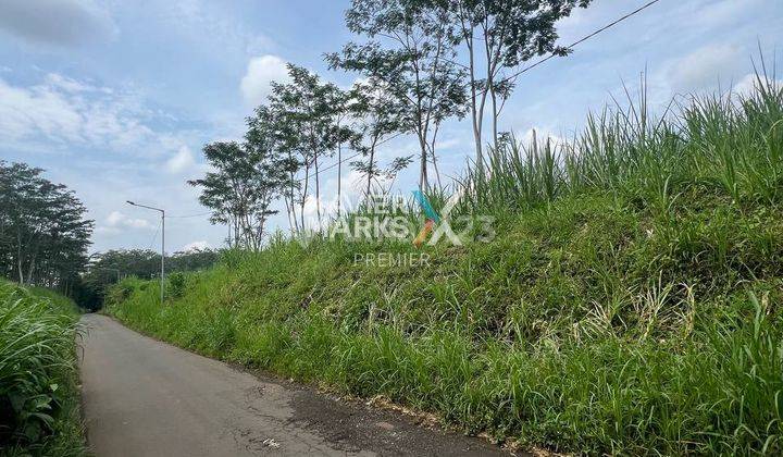 Lahan Luas Lokasi di Sebelah Lapangan Golf Araya, Blimbing Malang 2