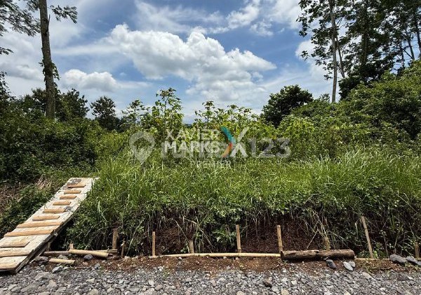 Land Location Near The Araya Housing Estate Gate, Pakis, Malang Land Location Near The Araya Housing Estate Gate, Pakis, Malang