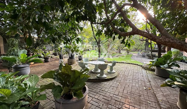 Rumah Super Luas di Area Bunga Bunga, Lowokwaru Malang 2