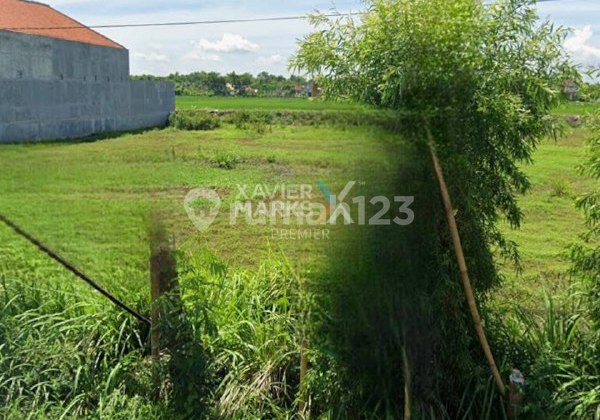 Lahan Lokasi Strategis di Jalan Basuki Rahmad, Warujayeng Kab. Nganjuk