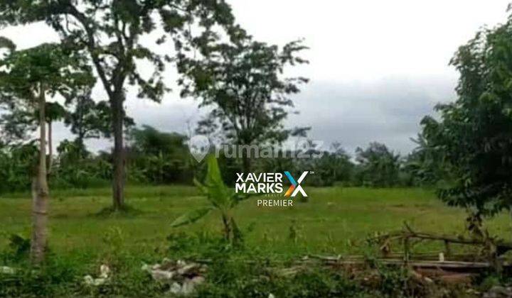 Tanah Siap Bangun di Raya Kalisongo, Dau Malang 1