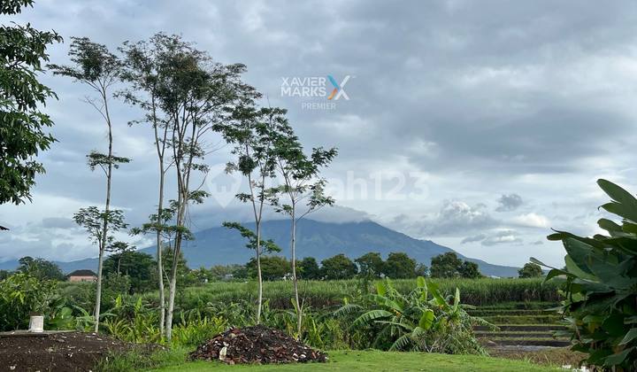 Semi-Furnished Modern House with Great View at Havana Park, Karangploso Malang 2