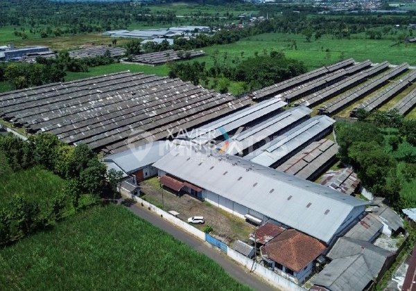 Tanah Harga Murah, Cocok untuk Pabrik, Gudang, Peternakan di Lawang, Kab. Malang