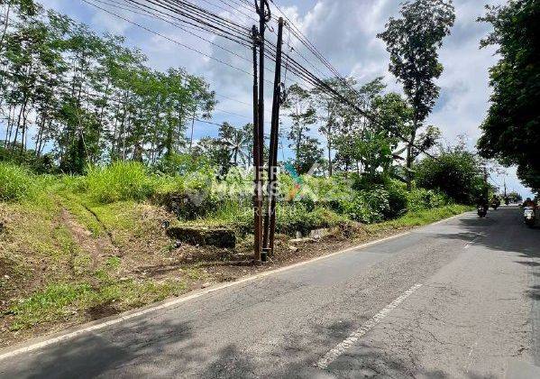 Lahan Luas Lokasi Strategis di Jalan Raya Tlogowaru, Kota Malang 2