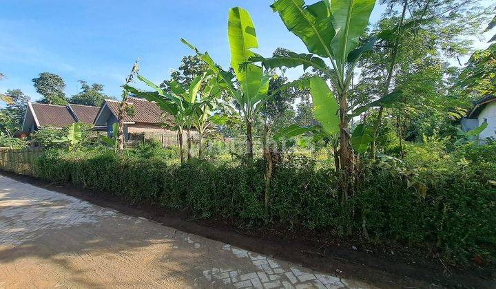 Tanah Strategis Siap Bangun Di Wajak Sukoanyar Malang Al252  2