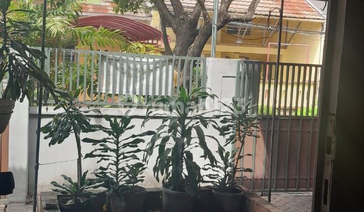 Rumah Harus Terjual Di Bintaro Sektor 2 Tangerang Selatan Rumah Harus Terjual Di Bintaro Sektor 2 Tangerang Selatan