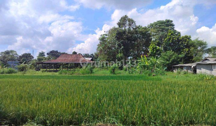 Tanah Tegalan Strategis Dekat Candi Sambisari Purwomartani Kalasan Sleman Jogjakarta 1