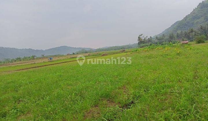 Dijual Tanah Strategis Murah Desa Cibuntu, Kecamatan Simpenan, Sukabumi, Jawa Barat 2