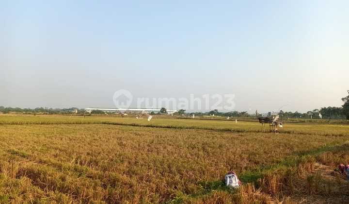 Dijual tanah sawah di Subang Jawa Barat 1