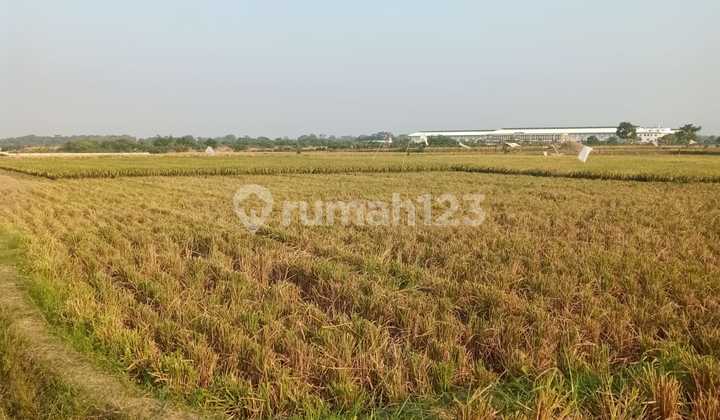 Dijual tanah sawah di Subang Jawa Barat 2