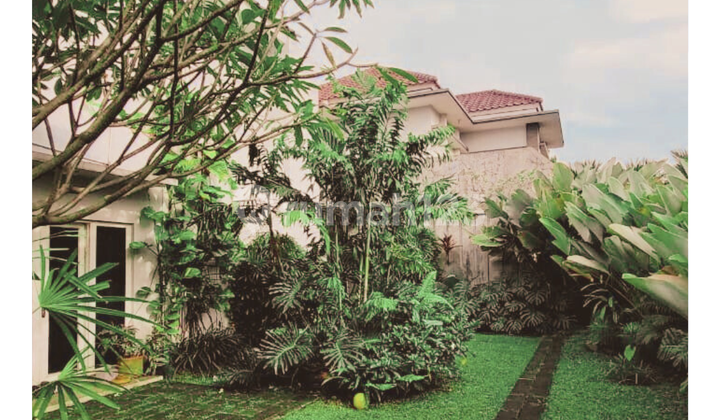 Dijual Rumah Bintaro Sektor 1 Tropical Vibes