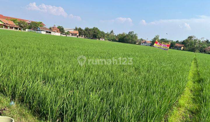 Dijual Murah Lahan Atau Tanah Kosong Jatibaru Jatiasih, Karawang 2