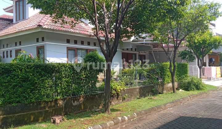 Large lush corner house for rent in Kemang Pratama, Bekasi.
