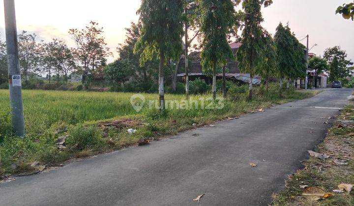 Dekat Gerbang Toll Klaten, Tanah Kebonarum  1