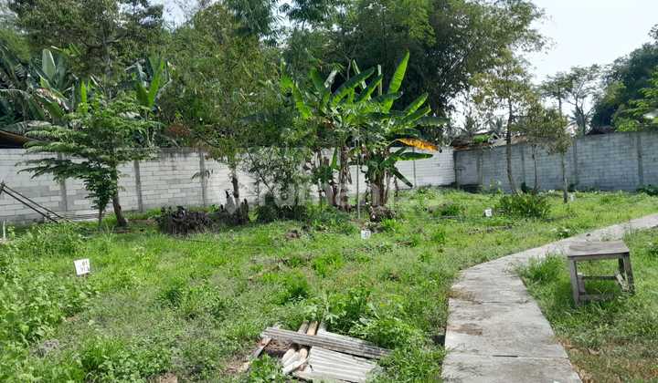 Tanah Dijual Murah Magelang, Cocok Hunian, Belakang Umm 2