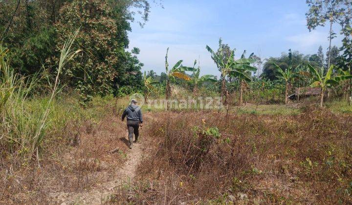 Dijual tanah dekat Tol Cimalak  23 Hektar Citimun Sumedang 2