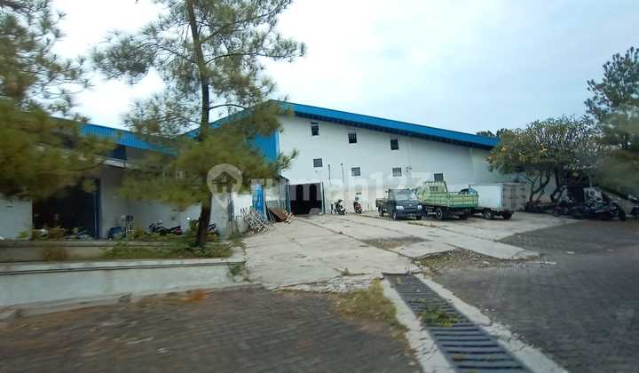 Warehouse Lb 6000 in Randu Garut, Tugu, with Office + Showroom 1