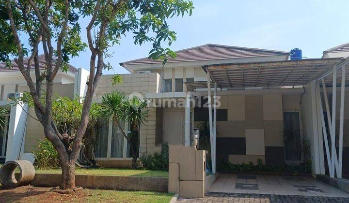 Rumah Nyaman Di Graha Padma Cluster Rafflesia, Siap Pakai 1