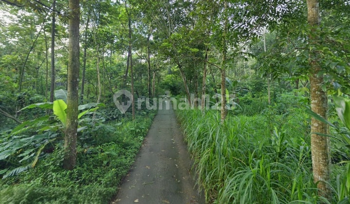 Land Area of 1 Ha in Argomulyo, Salatiga, Suitable for a Factory. Land Area of 1 Ha in Argomulyo, Salatiga, Suitable for a Factory.