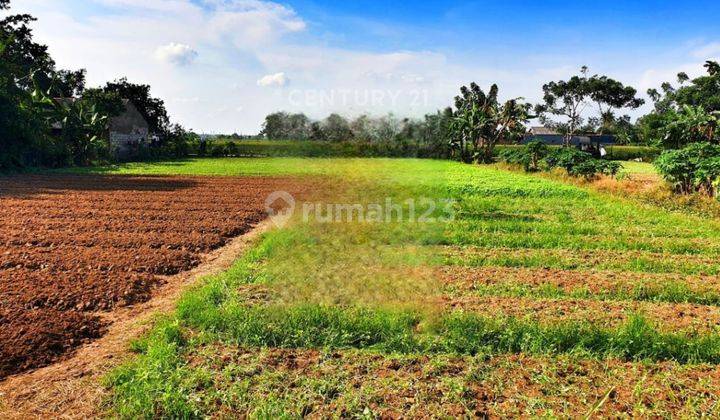 Tanah Luas Pinggir Jalan Dekat Pasar Di Babelan S8296 1