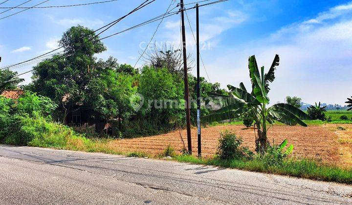 Tanah Luas Pinggir Jalan Dekat Pasar Di Babelan S8296 2