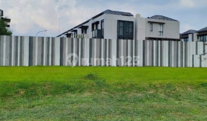 Limited Edition &amp; Affordable Price