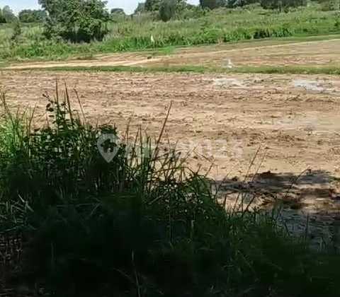 Dijual Cepat, Tanah Tenjo The Next Serpong Harga Fantastiikk