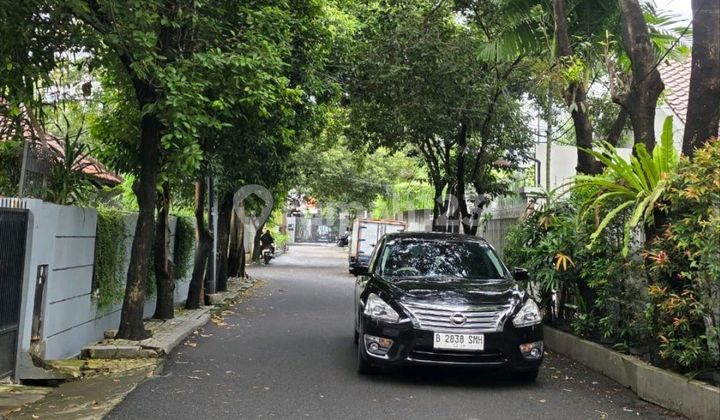 Brand New House - Very Aesthetic & Modern Tropis 2