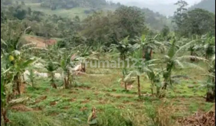 Dijual Tanah Pinggir Jln Alternatif Puncak 2