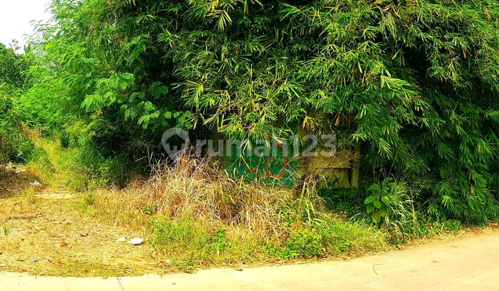 Commercial Land, Suitable for Padel Court, Restaurant, Cafe, Rental Property, Etc.