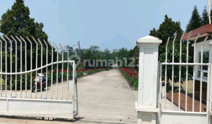 Ex. Factory One Step to Cikande Toll Exit Ex. Factory One Step to Cikande Toll Exit