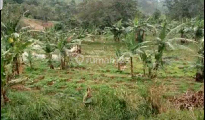 Dijual Tanah Dekat Tempat Wisata + Pinggir Jln Alternatif Puncak 2 - Cibadak 1