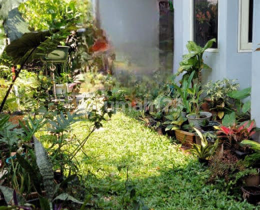 Residential House in a Luxury Housing Estate in Lebak Bulus 2