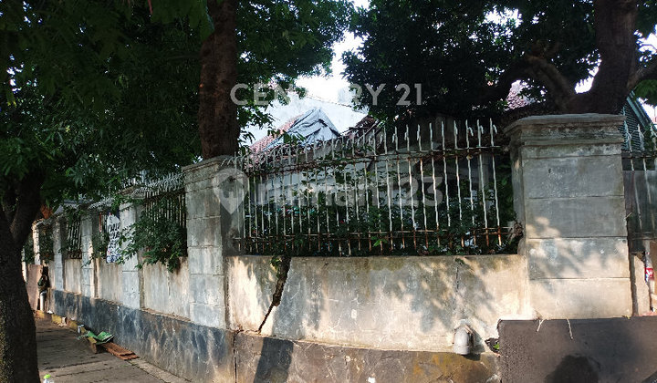 Rumah Tua Di Menteng Jarang Ada Daerah Tenang 2