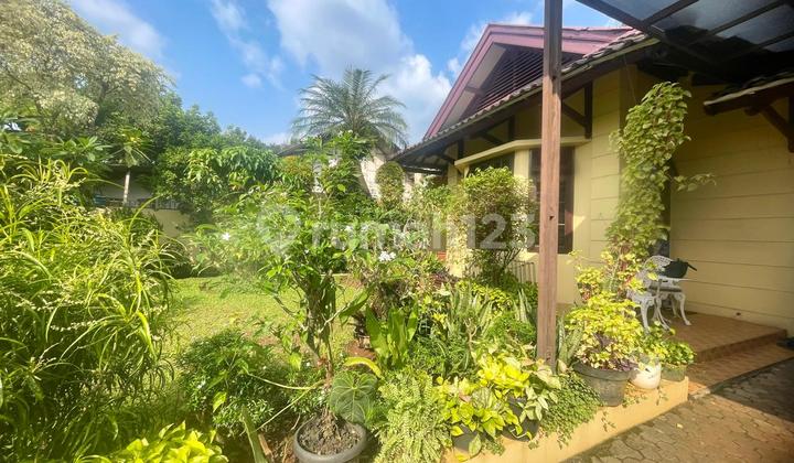 Vintage House in Lebak Bulus 1 Floor With Spacious Yard