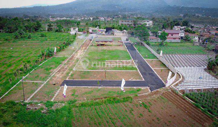 Dijual Cepat Tanah Kavling Shm Eksklusif Dekat Exit Tol Cigombong  1