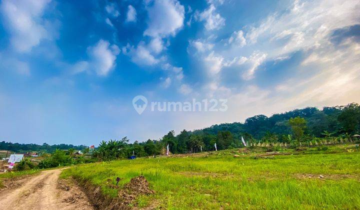 JUAL CEPAT TANAH KAVLING MURAH PINGGIR JALAN KABUPATEN  1