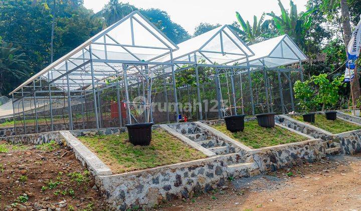 TANAH BONUS GREENHOUSE LOKASI STRATEGIS DEKAT JALAN PROVINSI  1