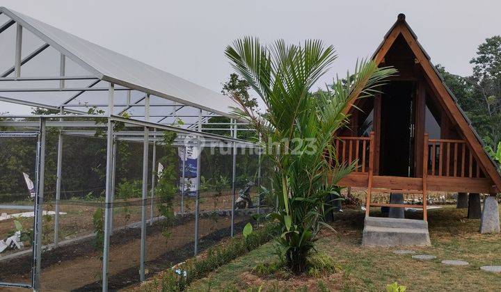 Tanah Murah View Indah Bonus Rumah Greenhouse  1