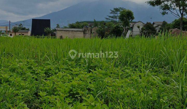 Tanah dijual 100 m² deket tol cigombong  2