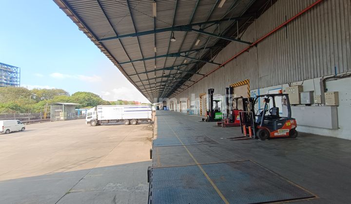 For Rent Large and Neat Warehouse 10000 m2, Suitable for Big Business, Cakung Warehouse Area, East Jakarta For Rent Large and Neat Warehouse 10000 m2, Suitable for Big Business, Cakung Warehouse Area, East Jakarta