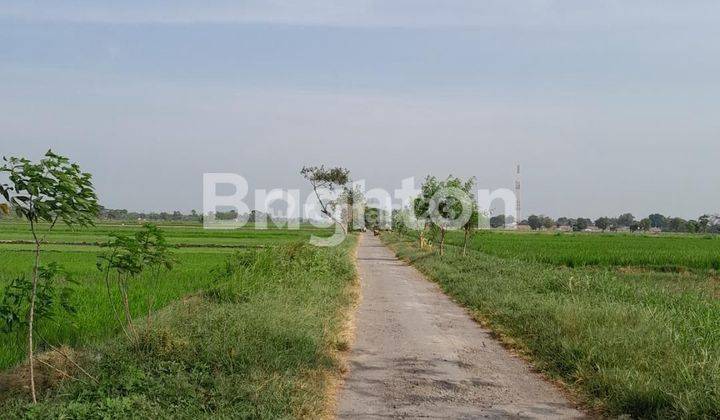 MENURAN, BAKI, SUKOHARJO, TANAH SAWAH DENGAN AKSES JALAN LEBAR, LOKASI STRATEGIS, 3 MENIT KEJALAN RAYA 2