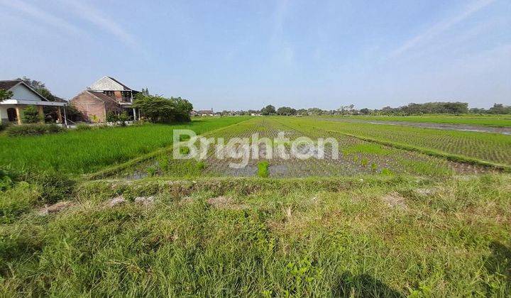 MENURAN, BAKI, SUKOHARJO, TANAH SAWAH DENGAN AKSES JALAN LEBAR, LOKASI STRATEGIS, 3 MENIT KEJALAN RAYA 1