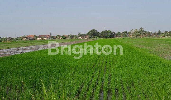 MENURAN, BAKI, SUKOHARJO, TANAH SAWAH DENGAN LOKASI STRATEGIS, AREA PEMUKIMAN PENDUDUK, AKSES KE JALAN RAYA DEKAT 1