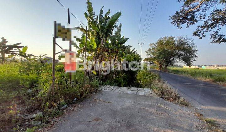 SUKOHARJO, GROGOL TEPATNYA SANGGRAHAN, ADA TANAH PEKARANGAN DI DAERAH PEMUKIMAN PENDUDUK 2