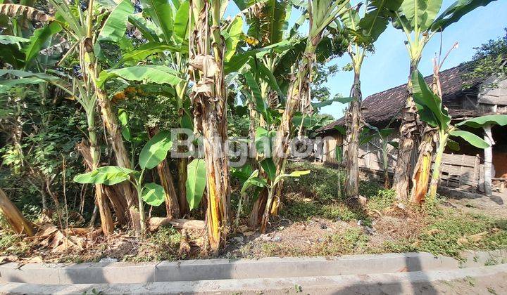 SUKOHARJO, BAKI AREA MANCASAN ADA TANAH PEKARANGAN DI PEMUKIMAN PENDUDUK 1