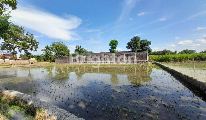 MENURAN, BAKI, SUKOHARJO,ADA TANAH PEKARANGAN LOKASI  AREA PERSAWAHAN DAN PERUMAHAN 2