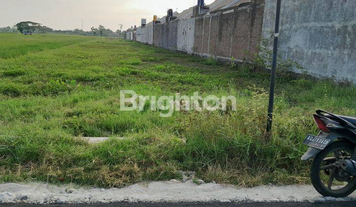 KUDU BAKI SUKOHARJO, TERDAPAT TANAH DI DAERAH PEMUKIMAN PENDUDUK, AREA LINGKUNGAN NYAMAN DAN TENANG, HANYA 4 MENIT KE SOLO BARU 1