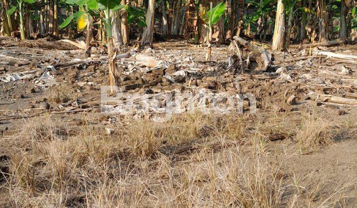 PARANGJORO, GROGOL, SUKOHARJO, JAWA TENGAH, MASUH TERSEDIA TANAH KAVLING UKURAN STANSAR, LOKASI BERADA DI KAWASAN PEMUKIMAN PENDUDUK, LINGKUNGAN TENANG DAN NYAMAN 1